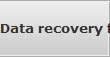 Data recovery for Simpsonville data