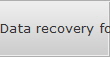 Data recovery for Simpsonville data